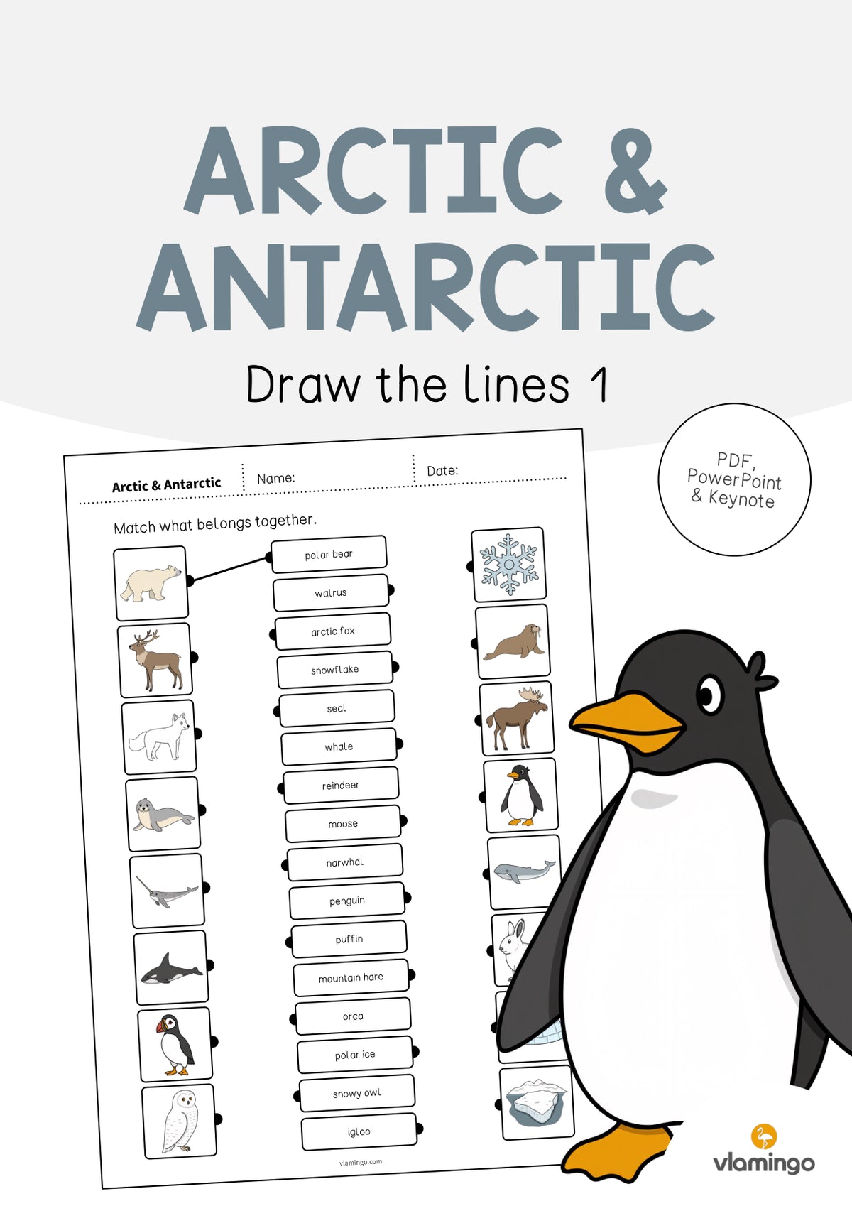 de englisch arctic antarctic draw the lines 1 001