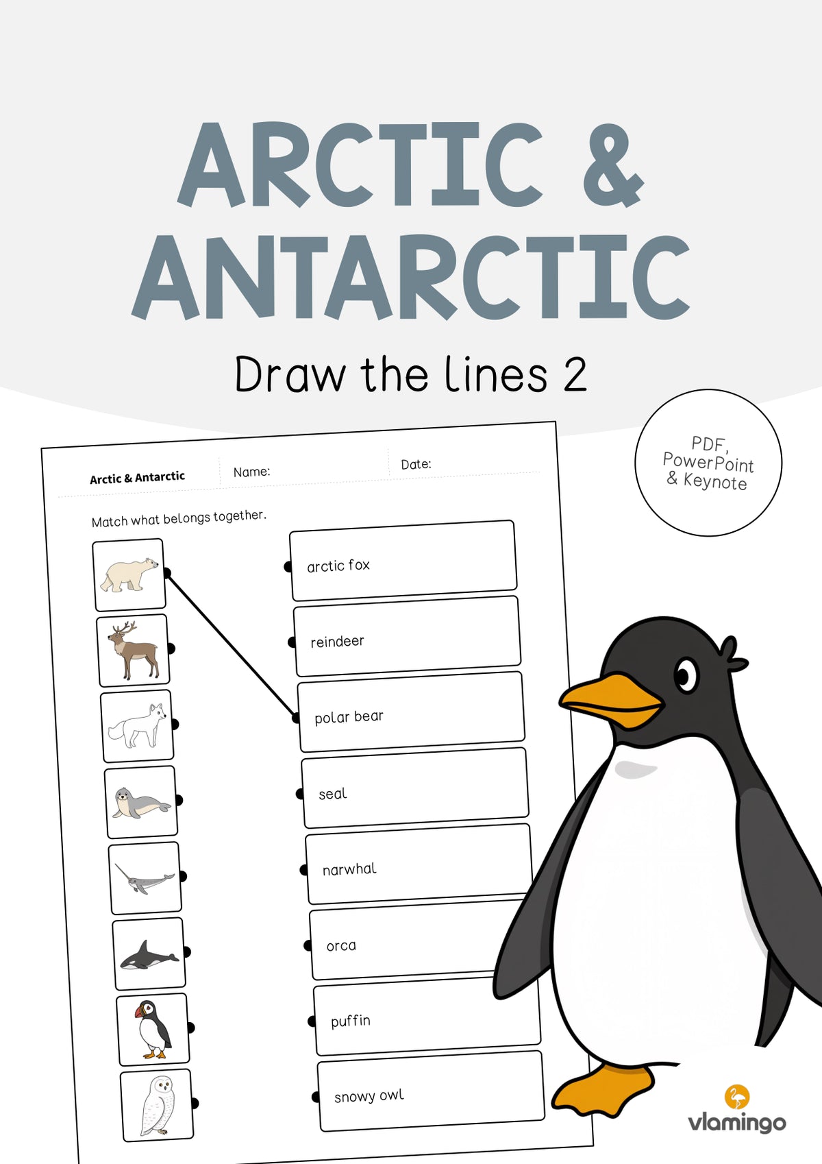 de englisch arctic antarctic draw the lines 2 001