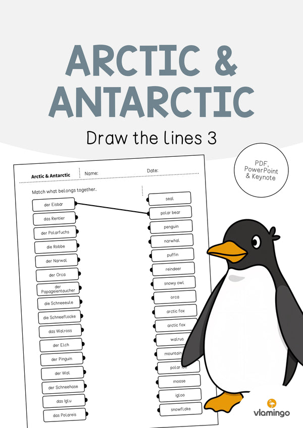 de englisch arctic antarctic draw the lines 3 001