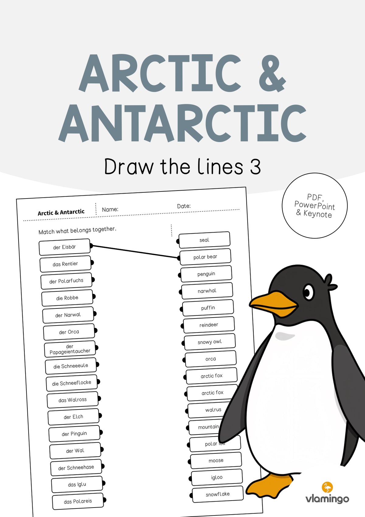 de englisch arctic antarctic draw the lines 3 001
