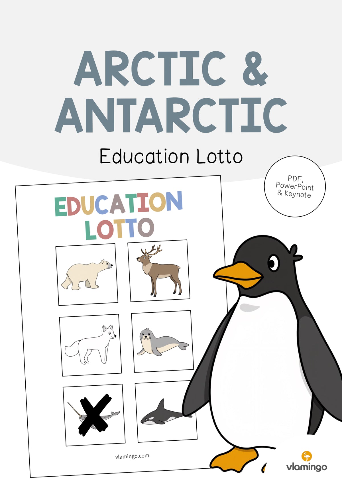 de englisch arctic antarctic education lotto 001
