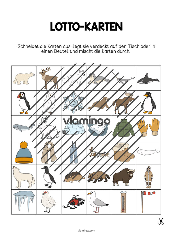 de englisch arctic antarctic education lotto 003