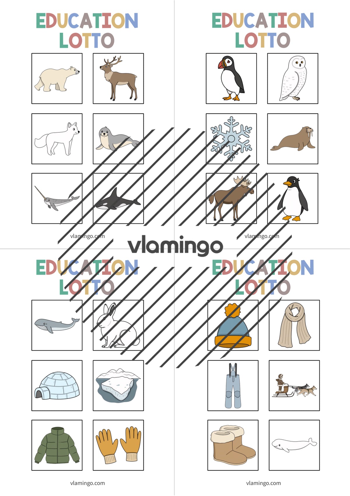 de englisch arctic antarctic education lotto 004