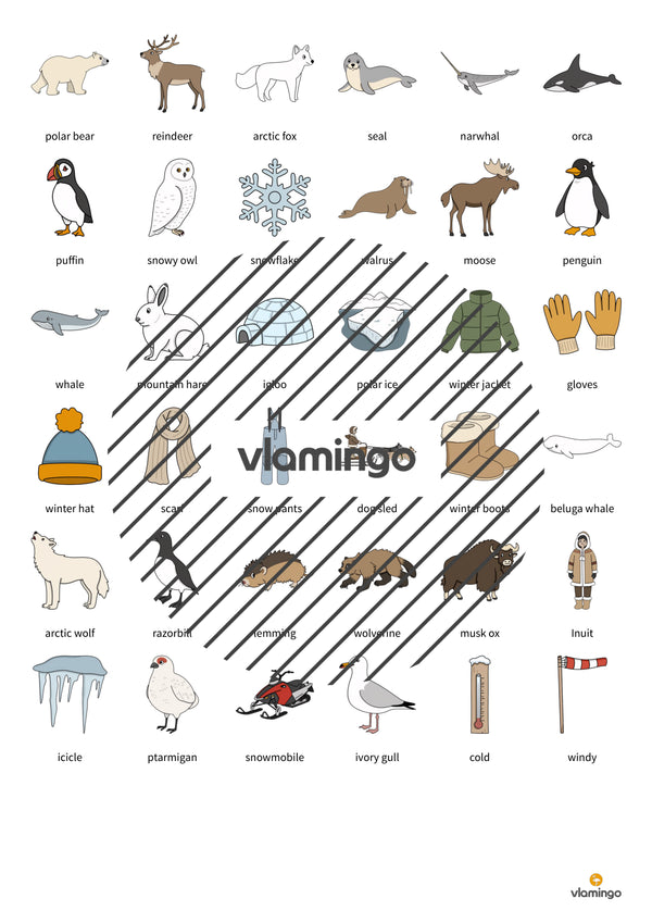 de englisch arctic antarctic education lotto 006