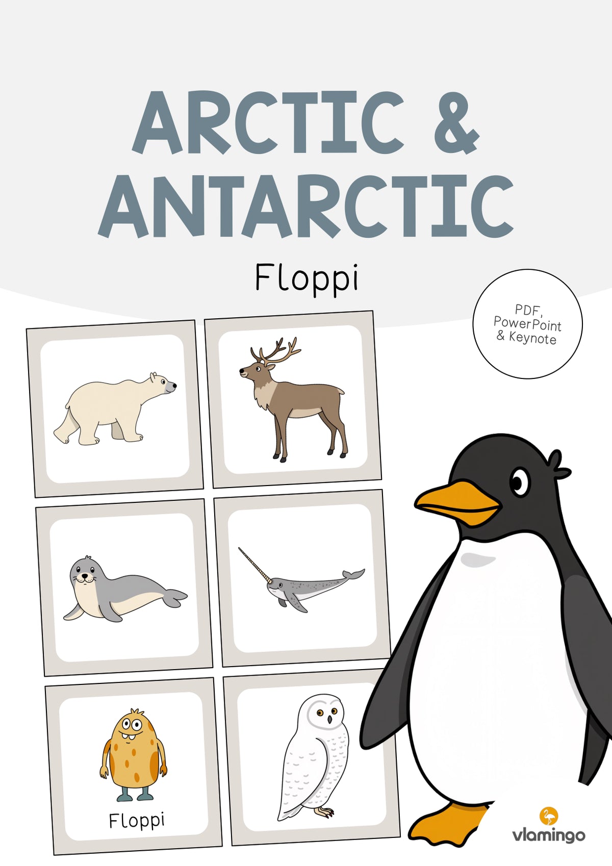 de englisch arctic antarctic floppi 001