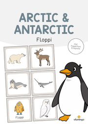 de englisch arctic antarctic floppi 001