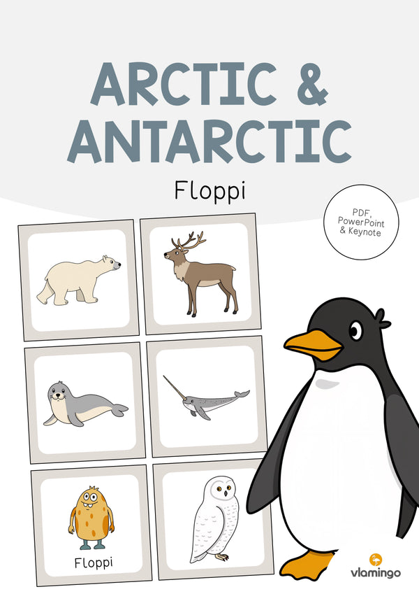 de englisch arctic antarctic floppi 001