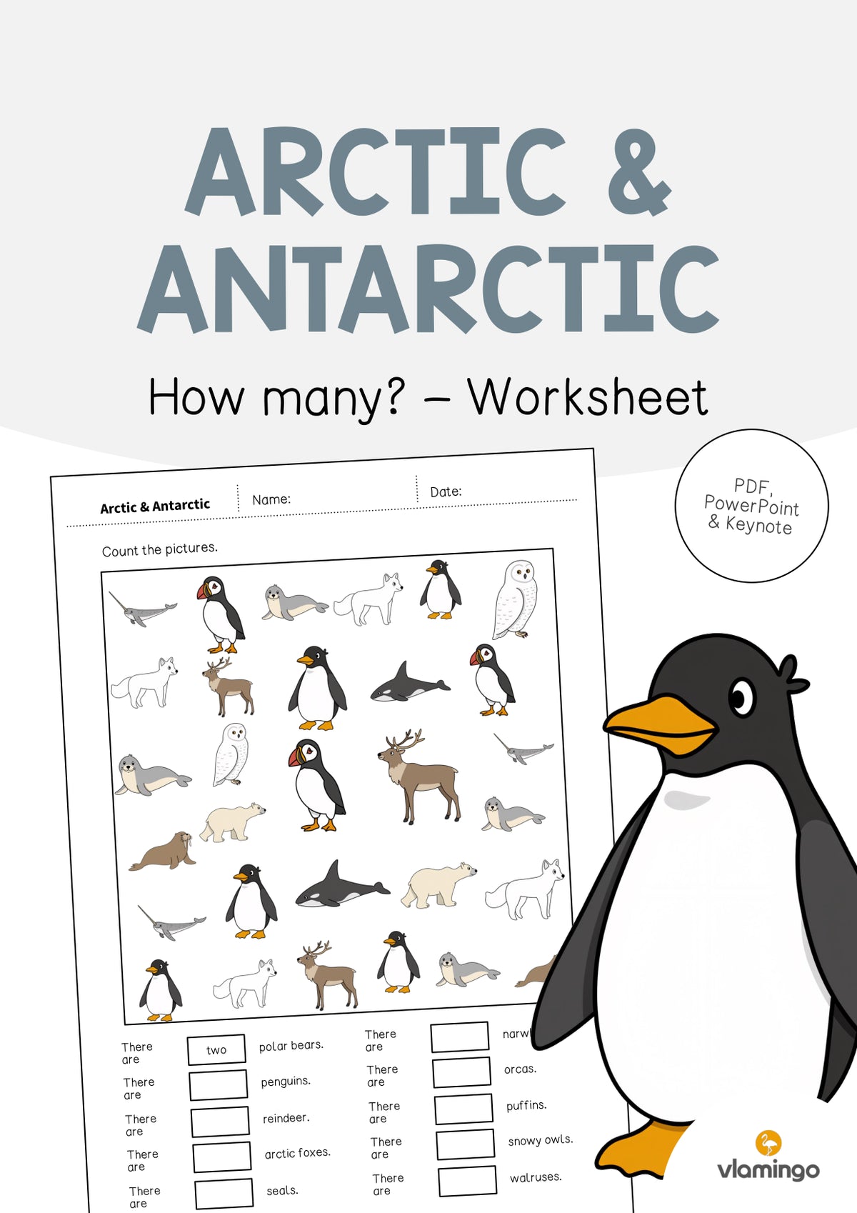 de englisch arctic antarctic how many worksheet 001