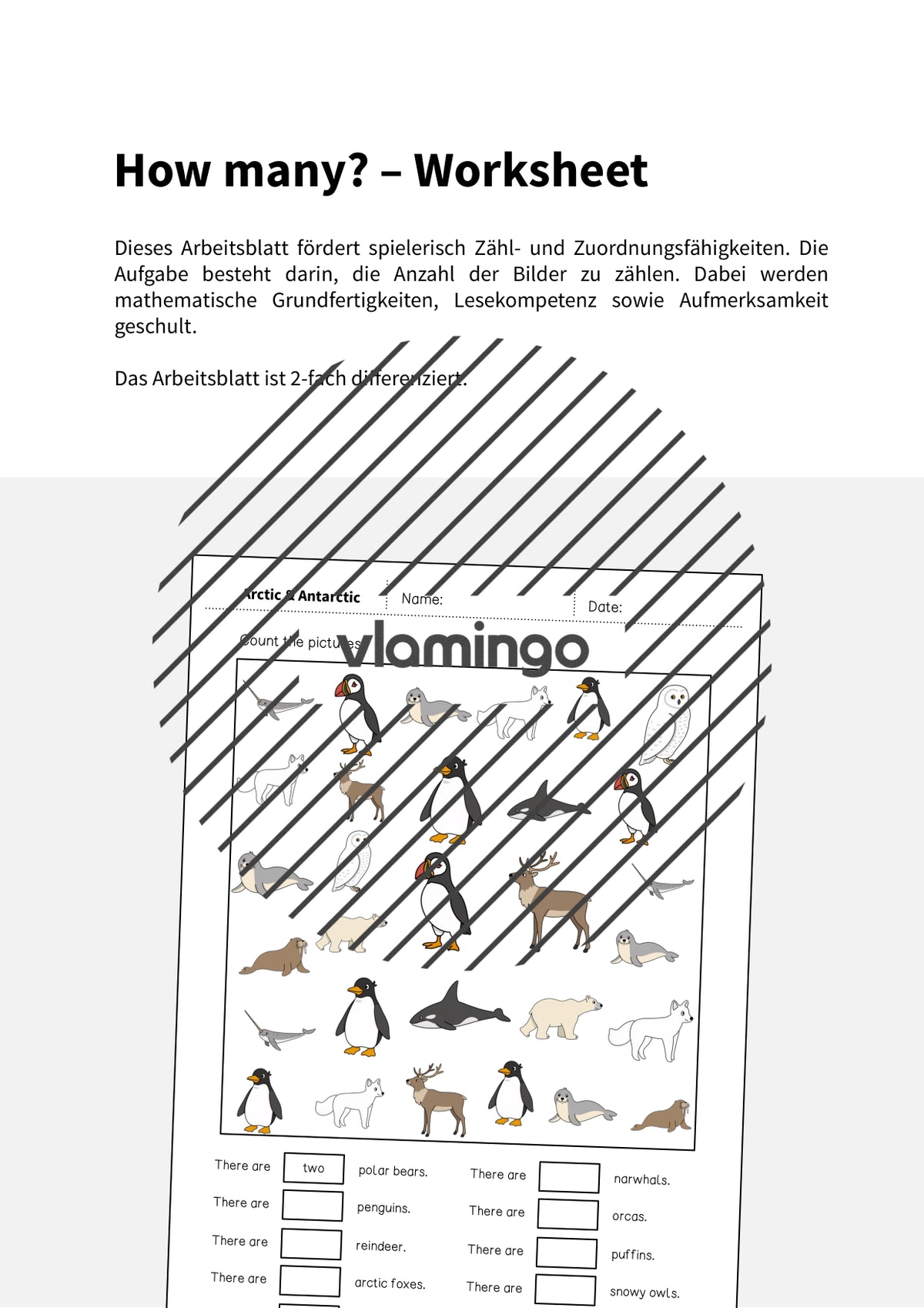 de englisch arctic antarctic how many worksheet 002