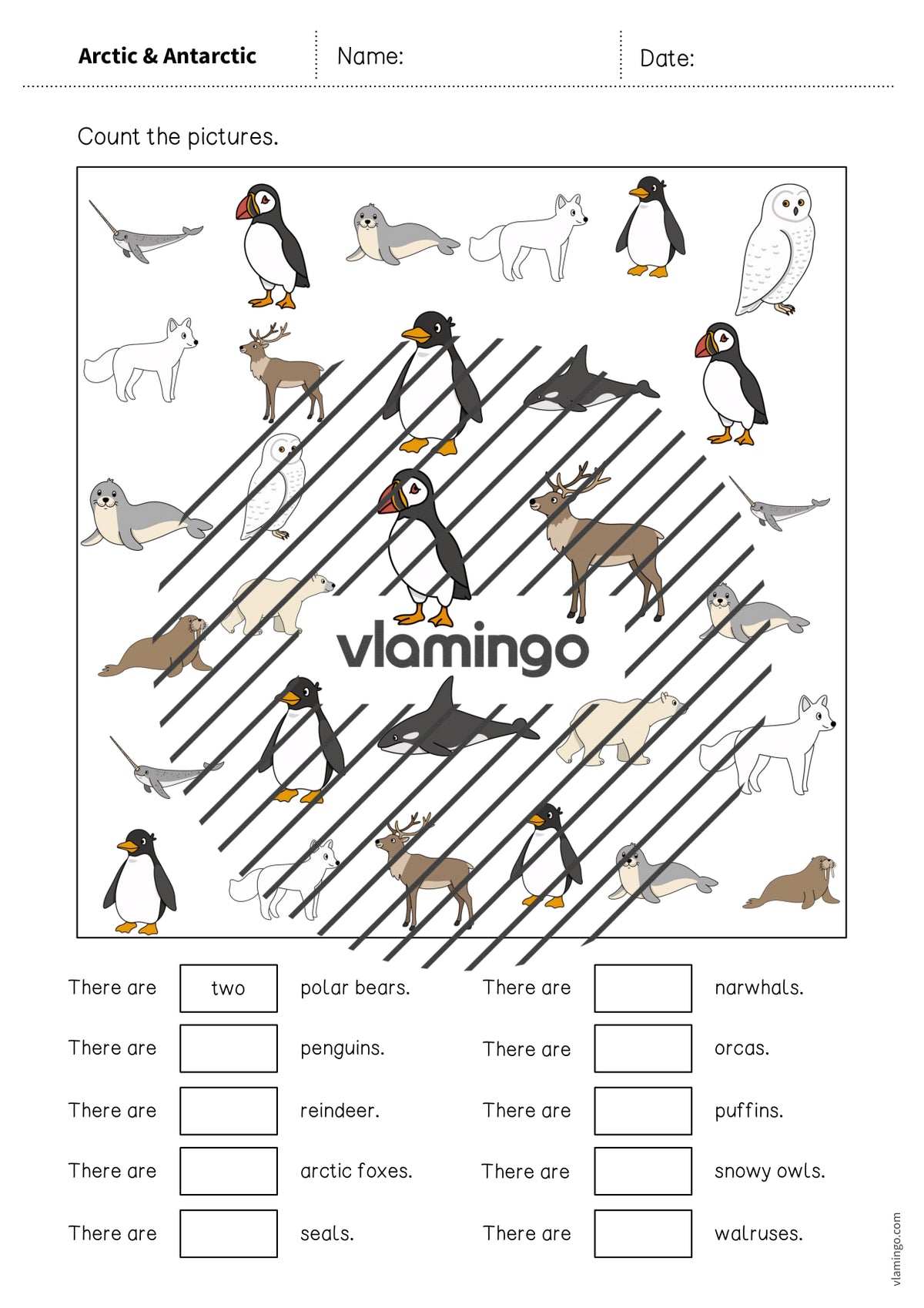 de englisch arctic antarctic how many worksheet 004