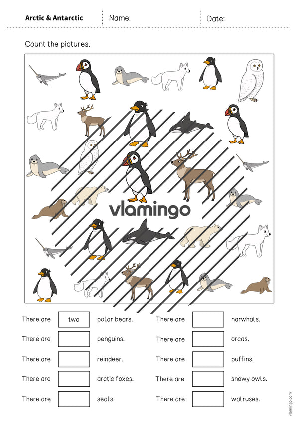 de englisch arctic antarctic how many worksheet 004