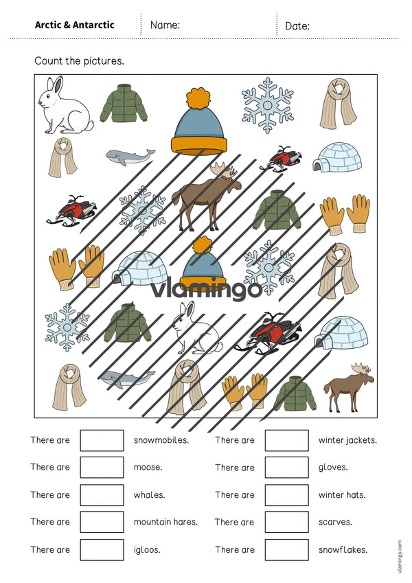 de englisch arctic antarctic how many worksheet 005