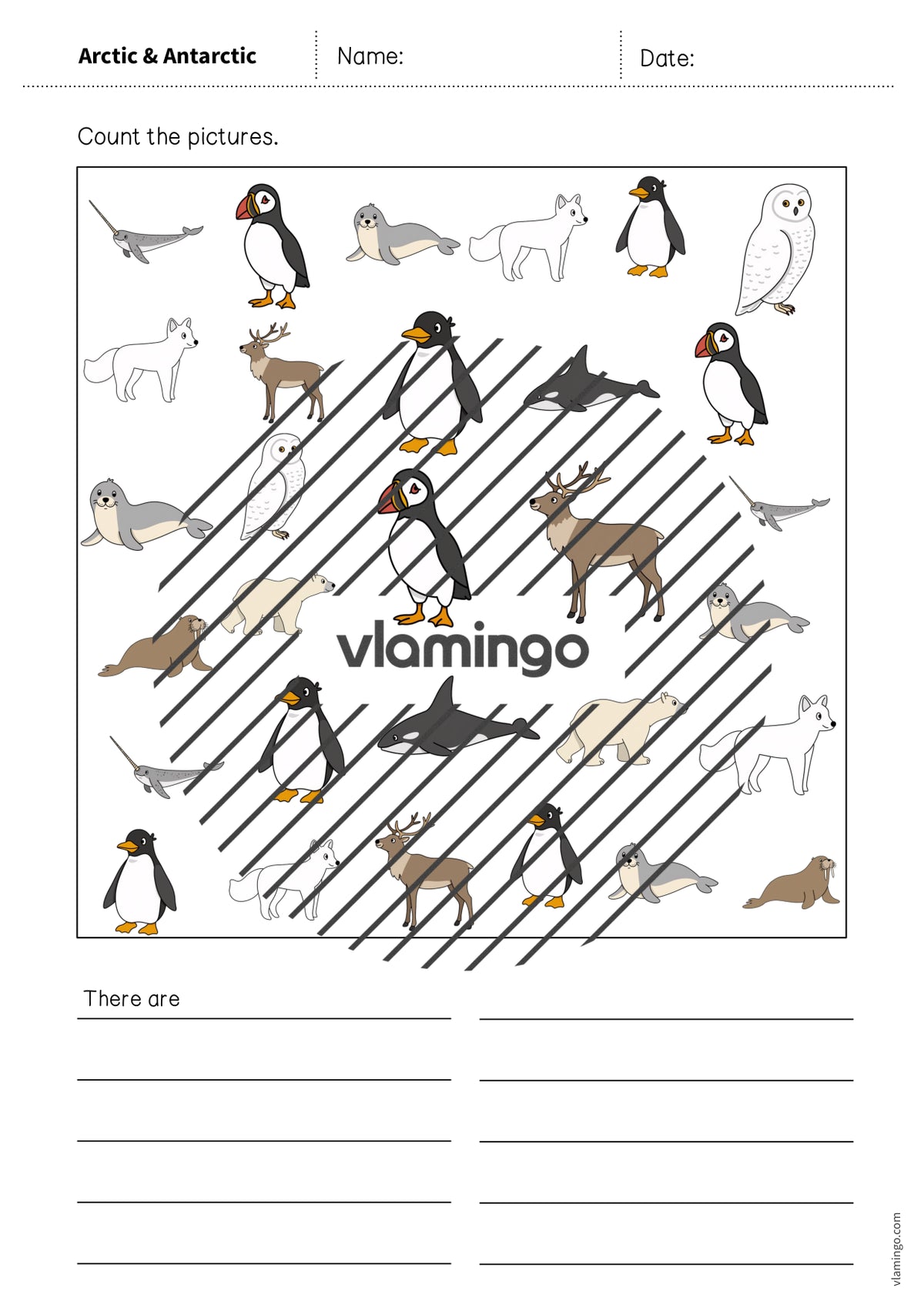 de englisch arctic antarctic how many worksheet 007