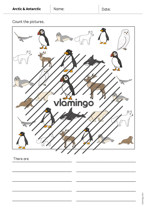 de englisch arctic antarctic how many worksheet 007