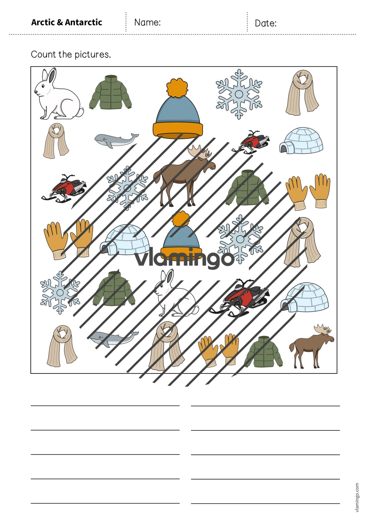 de englisch arctic antarctic how many worksheet 008