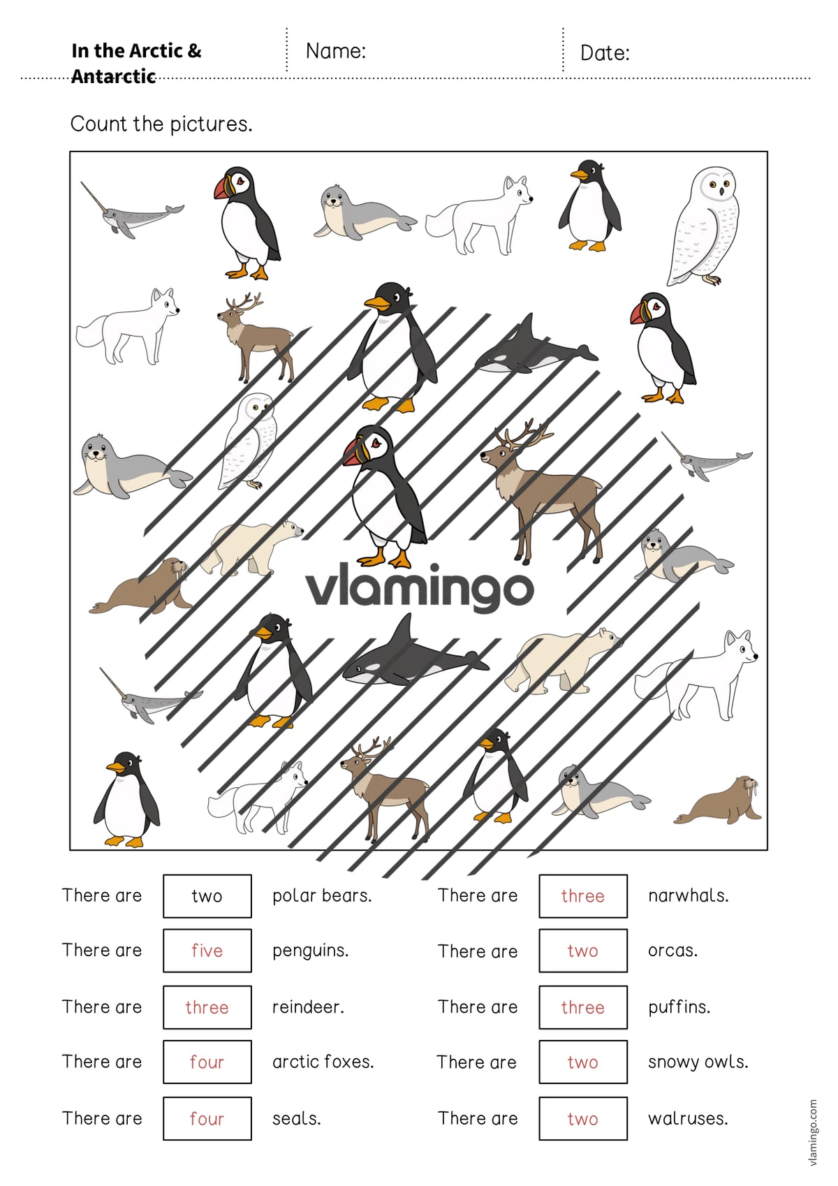 de englisch arctic antarctic how many worksheet 010