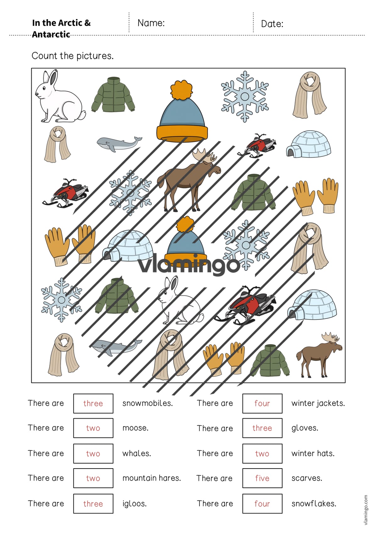 de englisch arctic antarctic how many worksheet 011