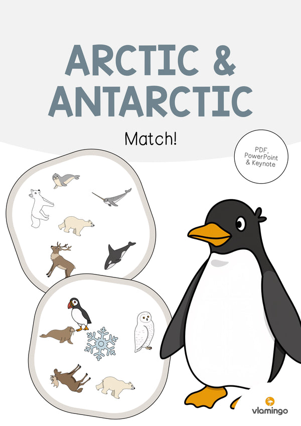 de englisch arctic antarctic match 001