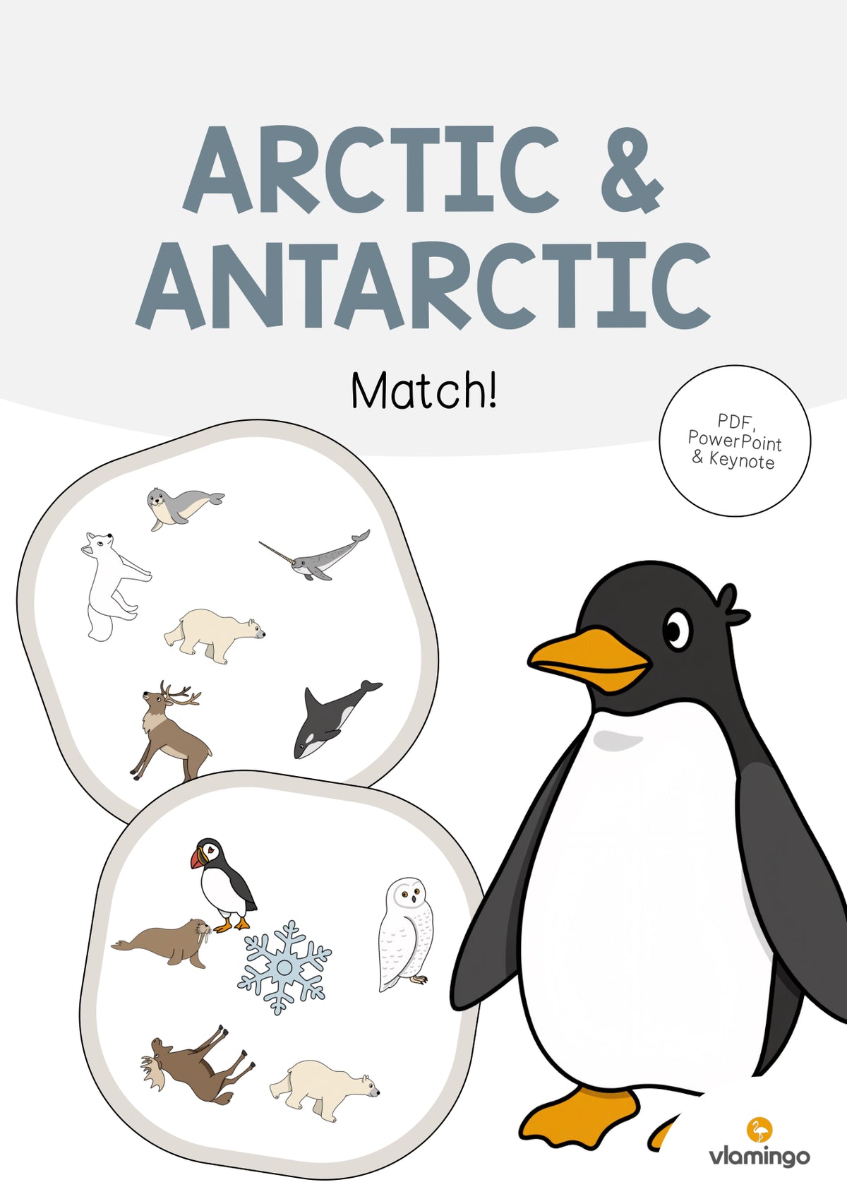de englisch arctic antarctic match 001