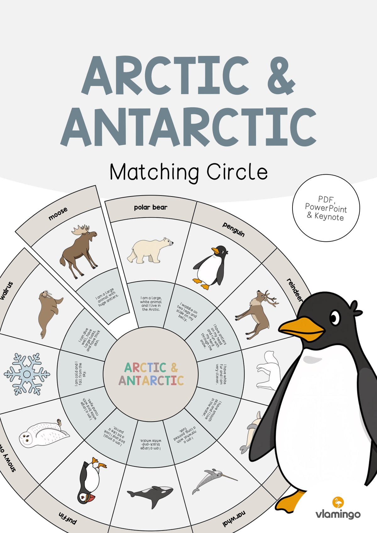 de englisch arctic antarctic matching circle 001