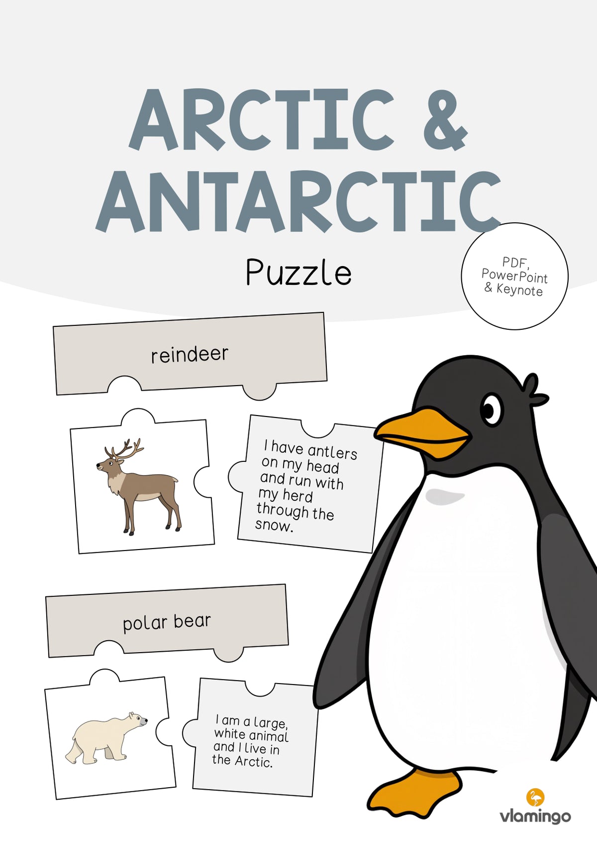 de englisch arctic antarctic puzzle 001
