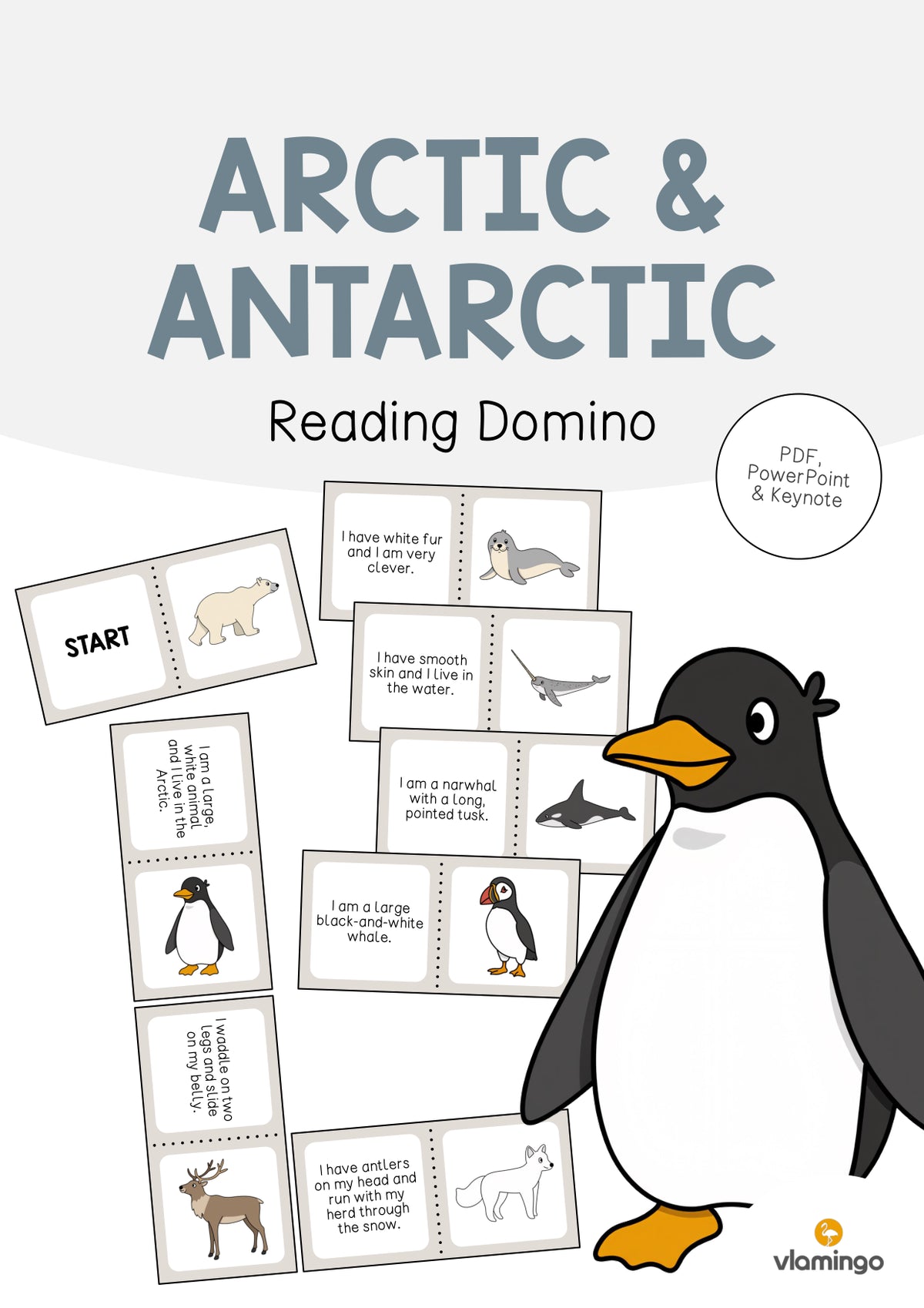 de englisch arctic antarctic reading domino 001