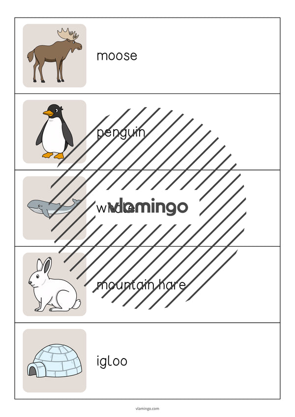 de englisch arctic antarctic running dictation 005