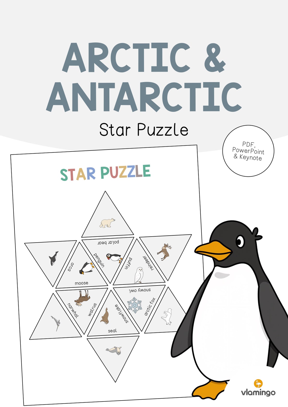 de englisch arctic antarctic star puzzle 001