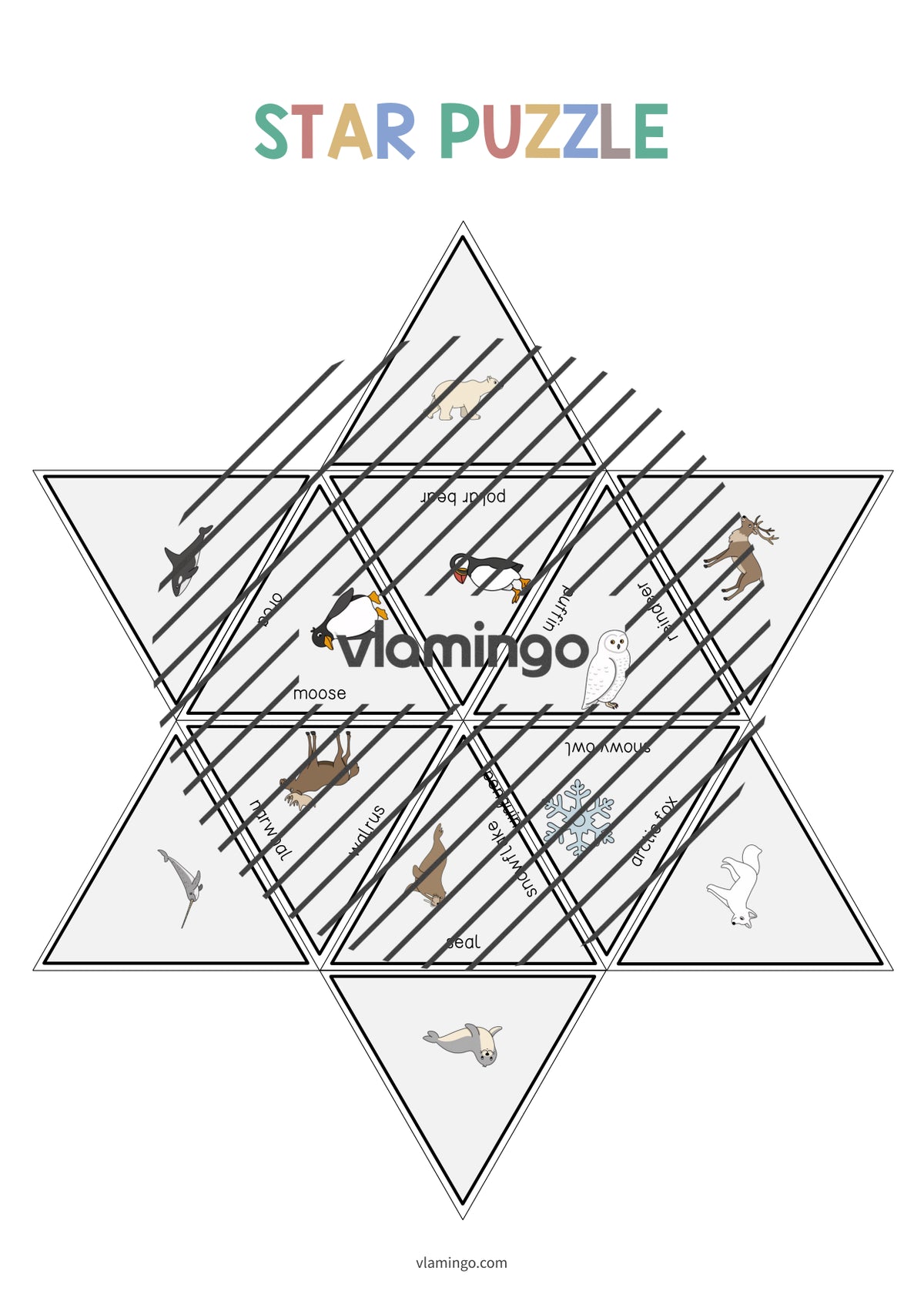 de englisch arctic antarctic star puzzle 010