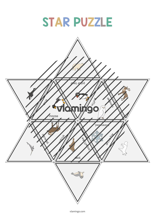 de englisch arctic antarctic star puzzle 010