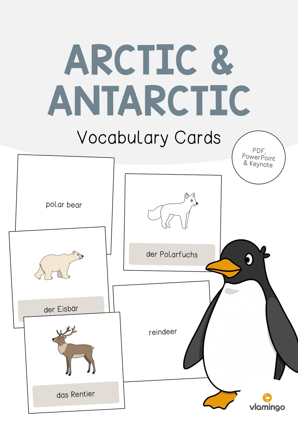 de englisch arctic antarctic vocabulary cards 001
