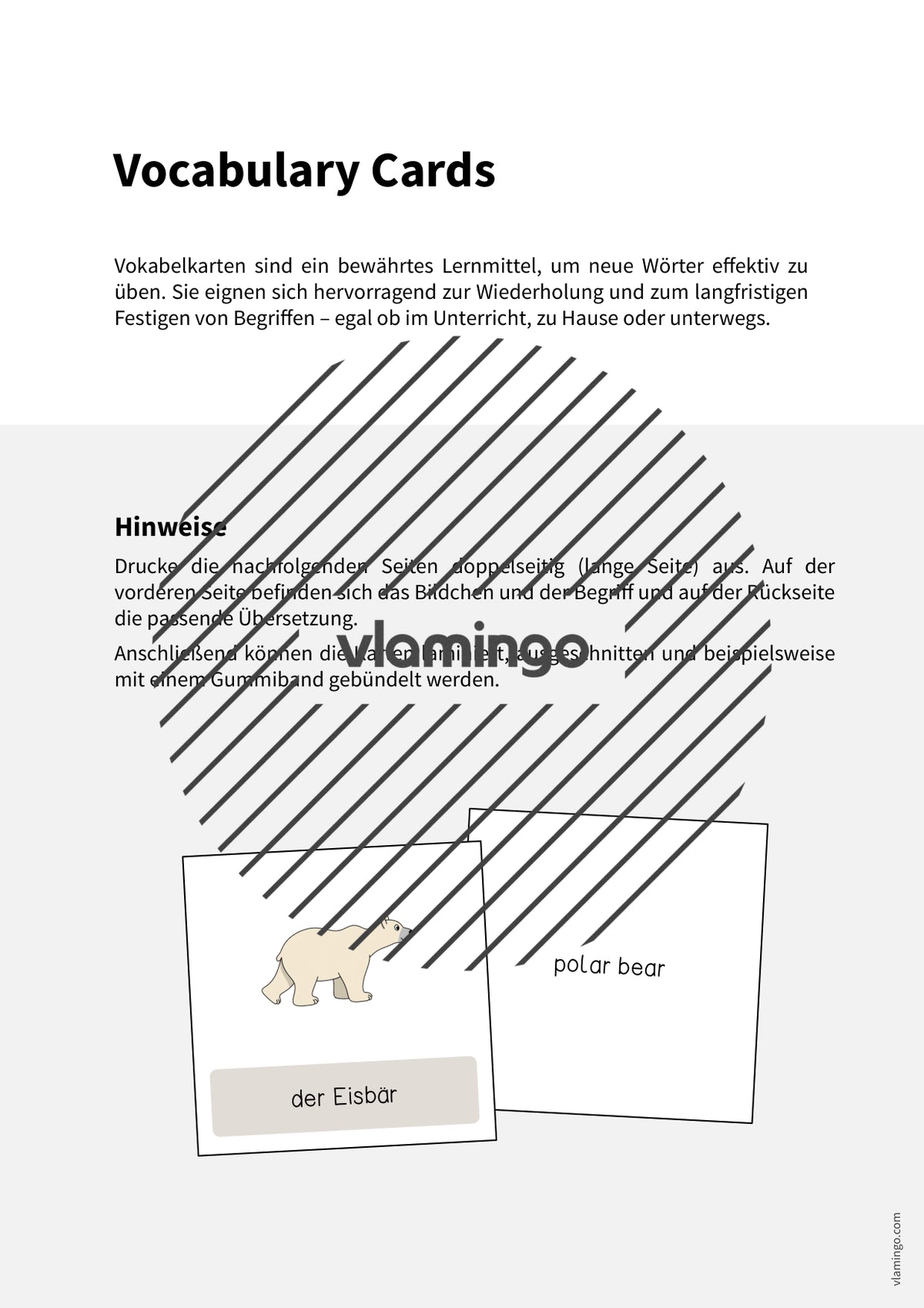 de englisch arctic antarctic vocabulary cards 002