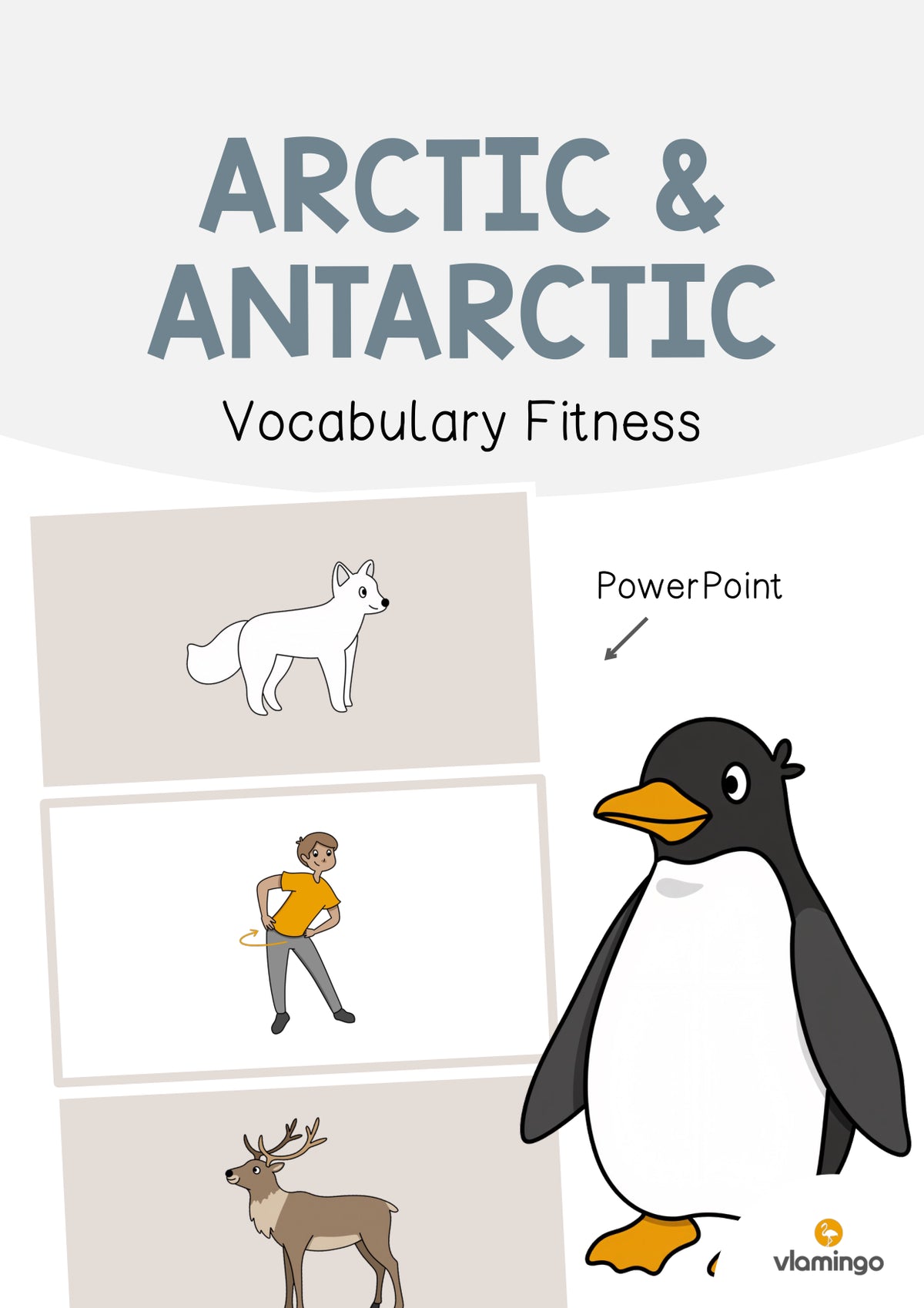 de englisch arctic antarctic vocabulary fitness 001