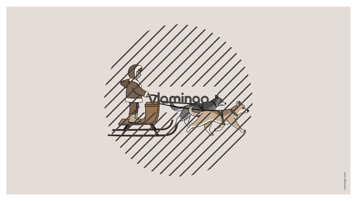 de englisch arctic antarctic vocabulary fitness powerpoint 032