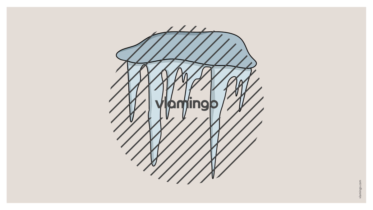 de englisch arctic antarctic vocabulary fitness powerpoint 044