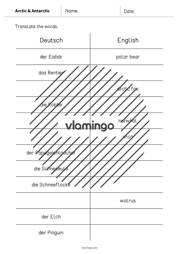 de englisch arctic antarctic vocabulary mini test 003