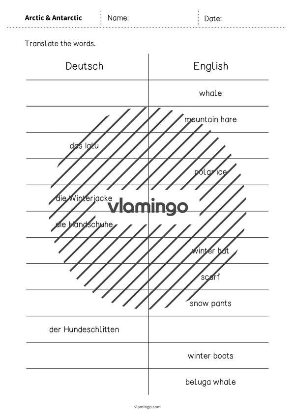 de englisch arctic antarctic vocabulary mini test 004