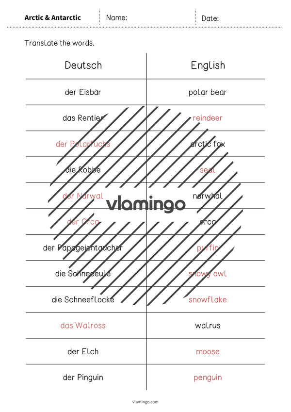 de englisch arctic antarctic vocabulary mini test 007