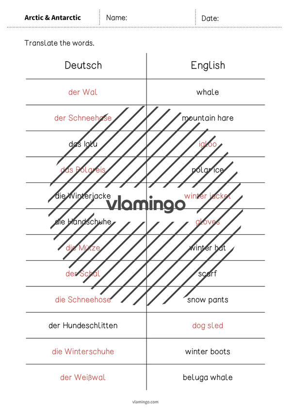 de englisch arctic antarctic vocabulary mini test 008
