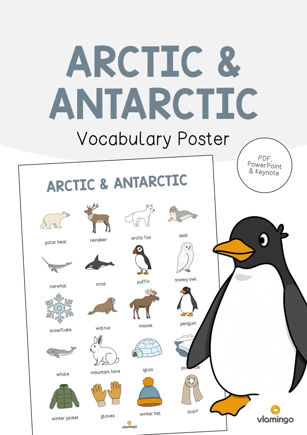 de englisch arctic antarctic vocabulary poster 001