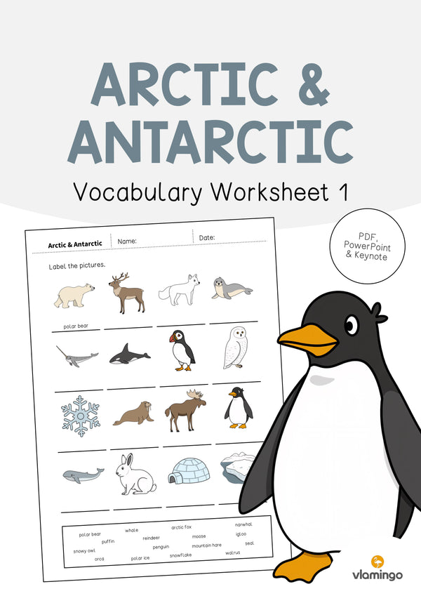 de englisch arctic antarctic vocabulary worksheet 1 001