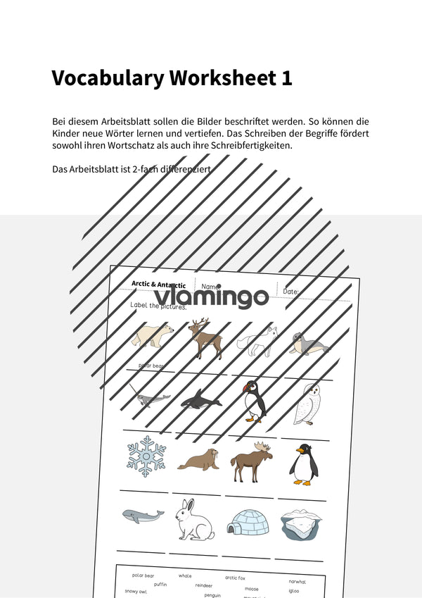 de englisch arctic antarctic vocabulary worksheet 1 002