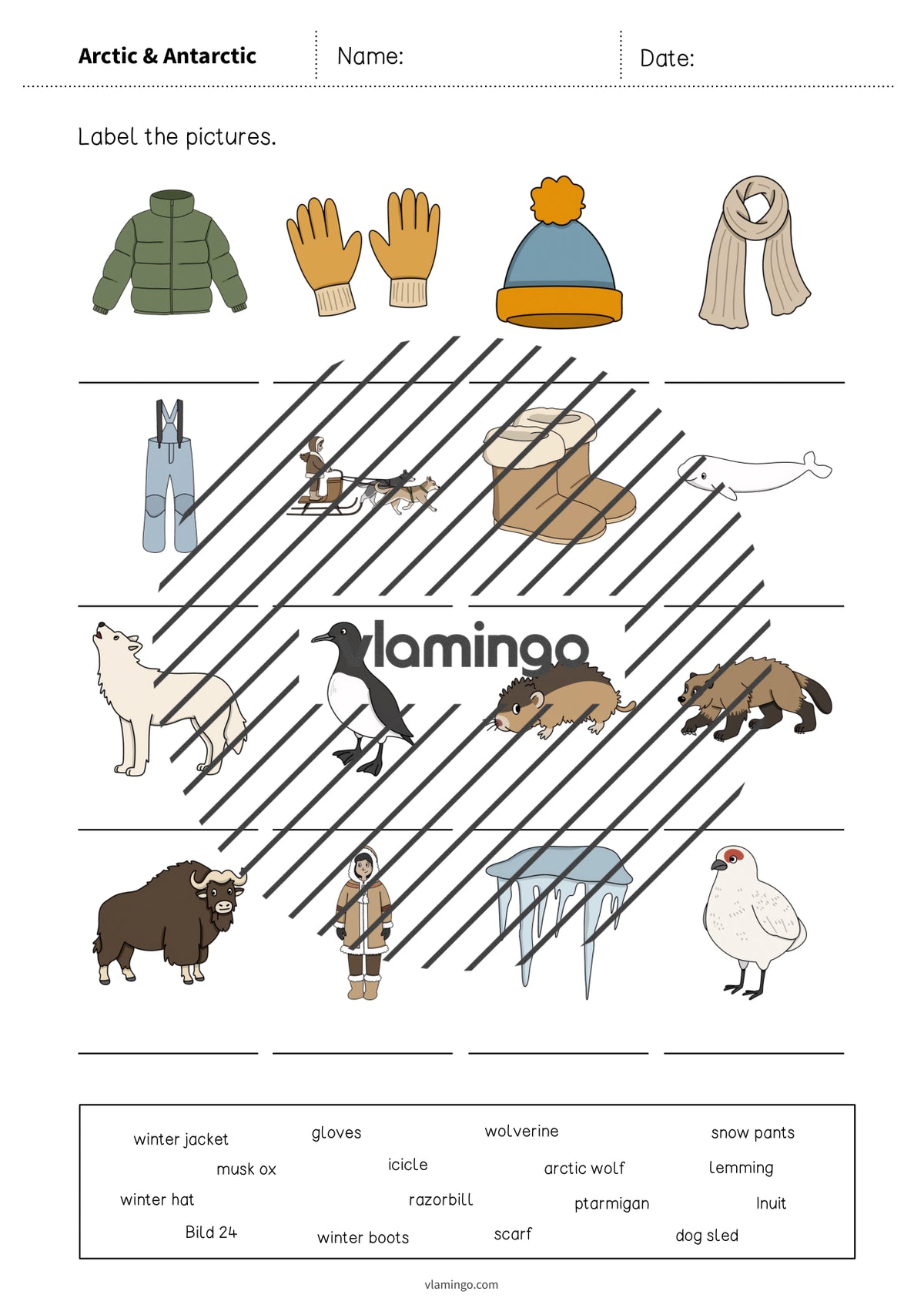 de englisch arctic antarctic vocabulary worksheet 1 005