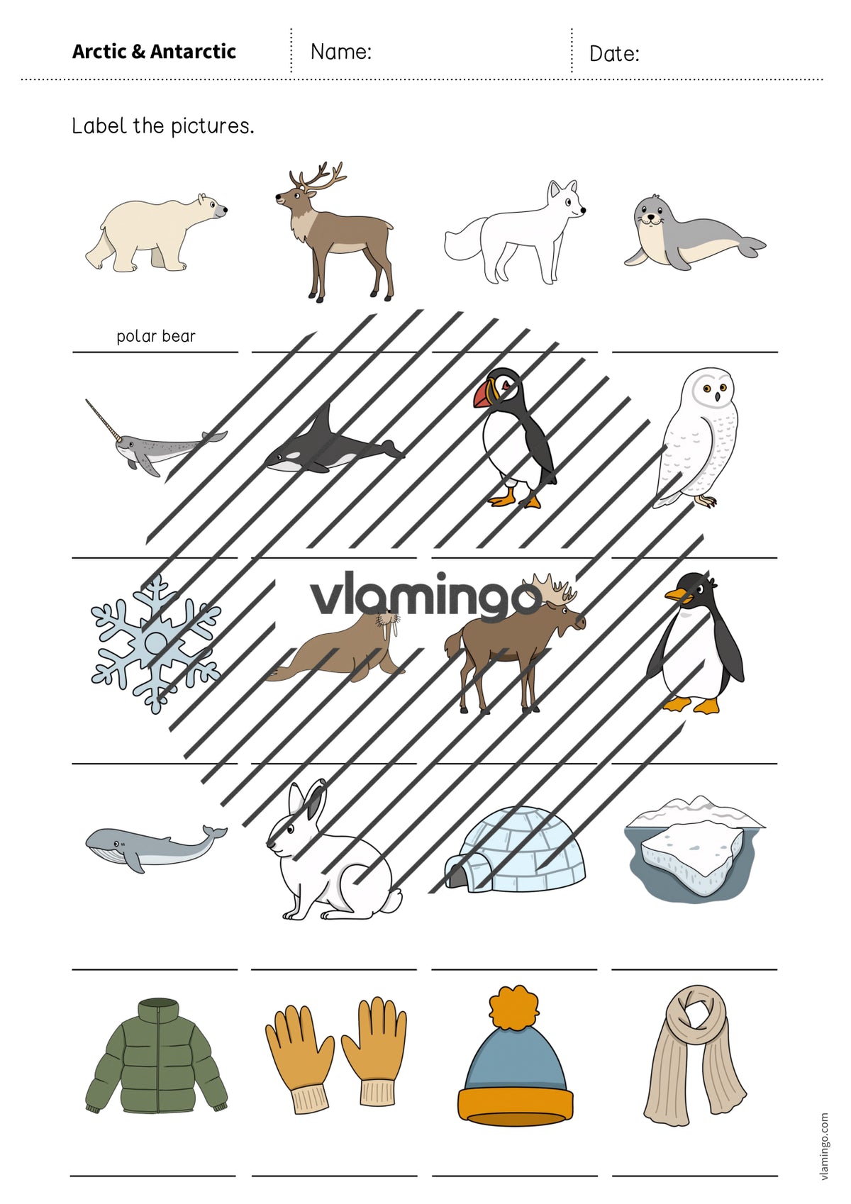 de englisch arctic antarctic vocabulary worksheet 1 007