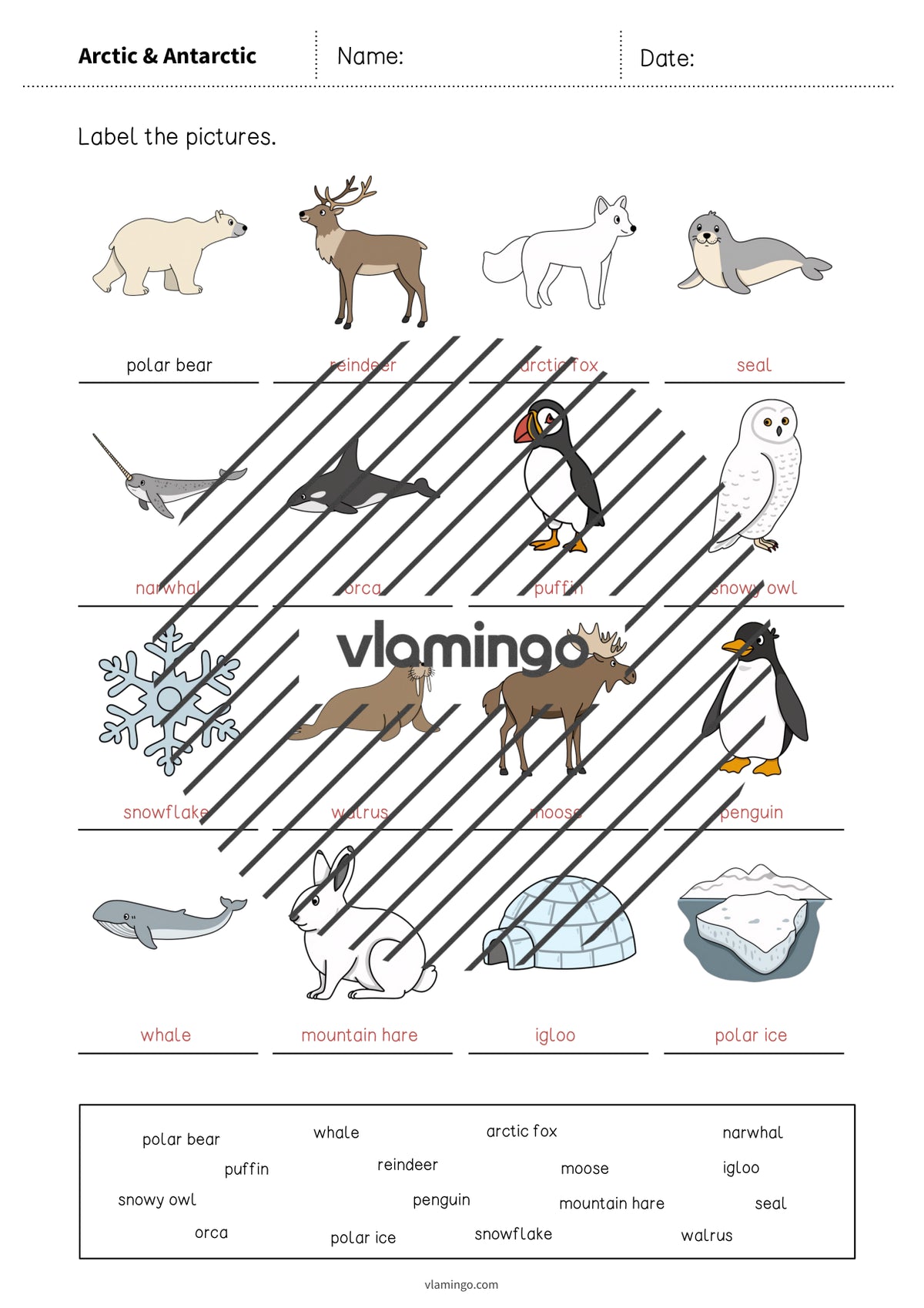 de englisch arctic antarctic vocabulary worksheet 1 010