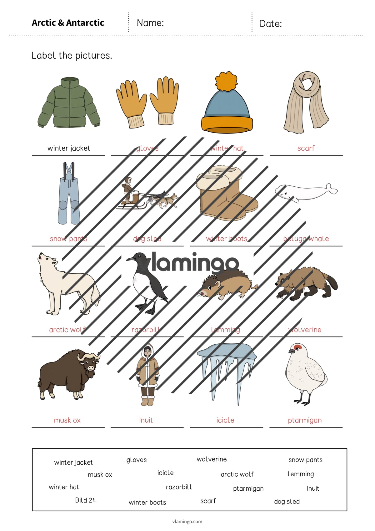 de englisch arctic antarctic vocabulary worksheet 1 011