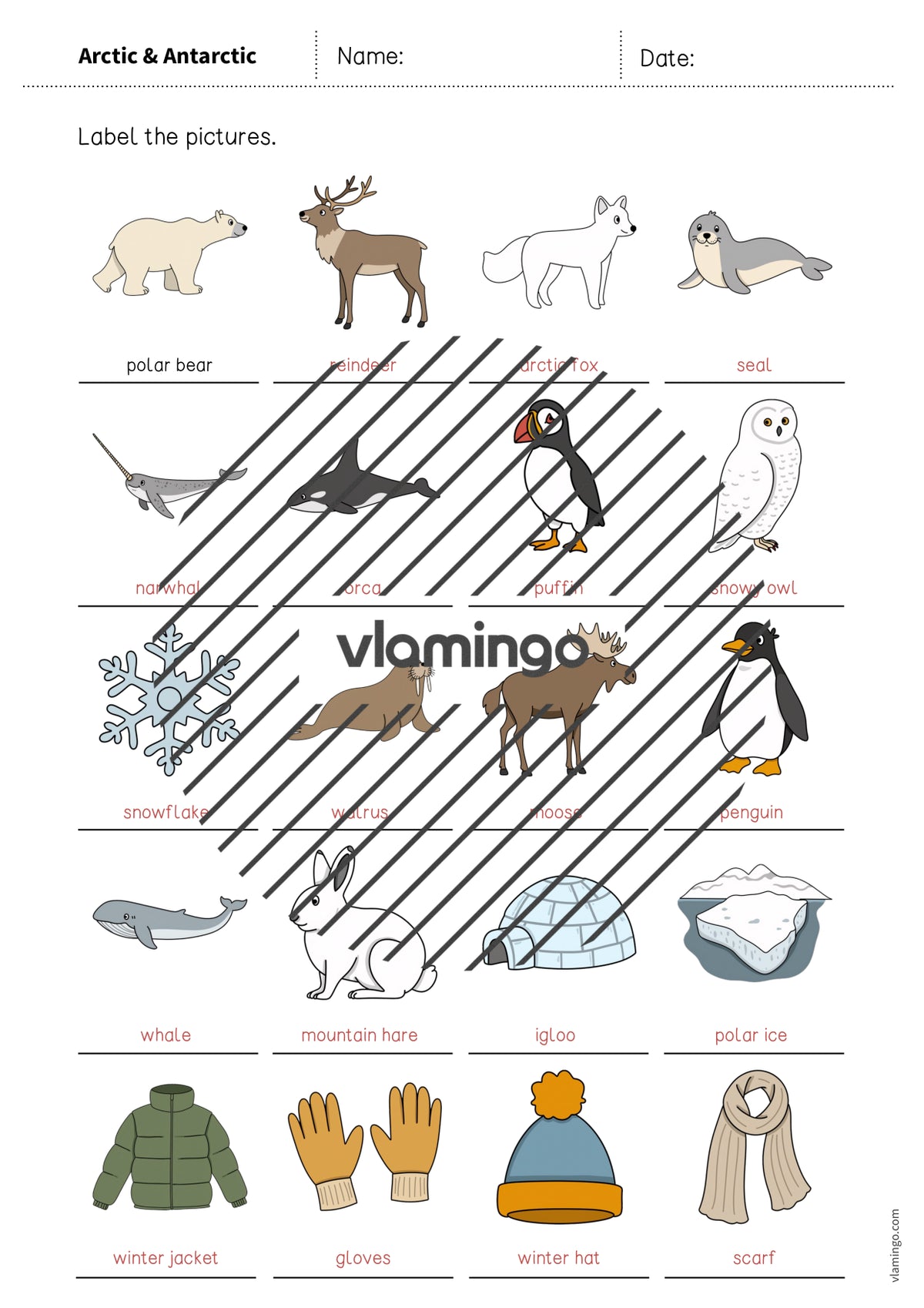 de englisch arctic antarctic vocabulary worksheet 1 012