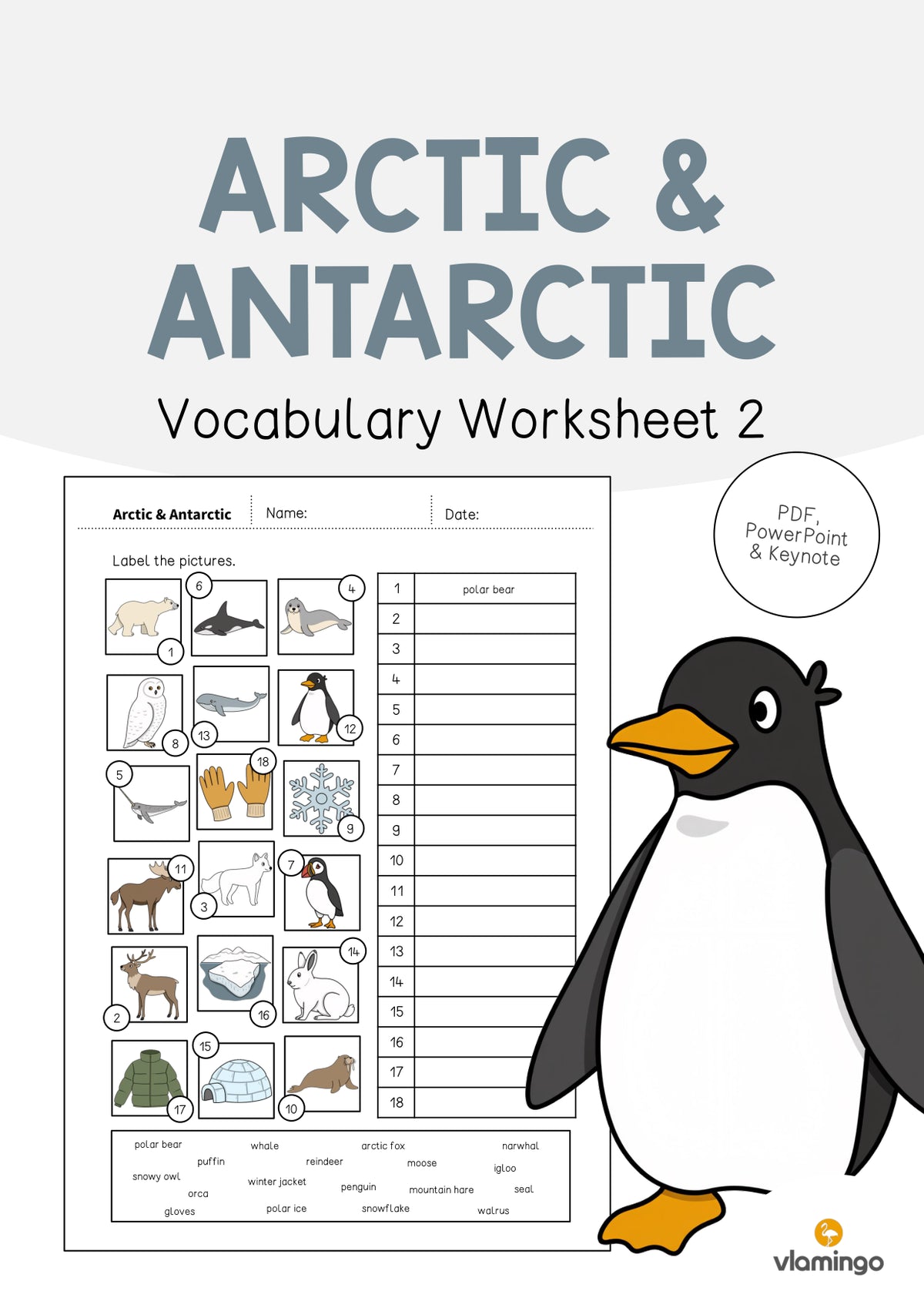 de englisch arctic antarctic vocabulary worksheet 2 001