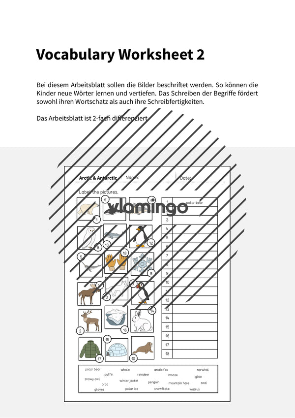 de englisch arctic antarctic vocabulary worksheet 2 002