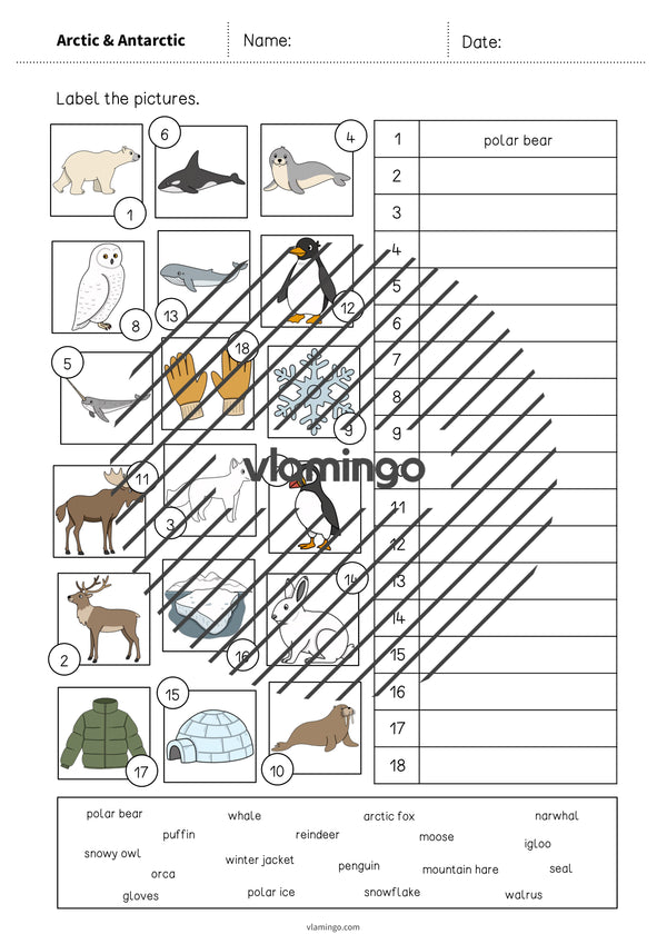 de englisch arctic antarctic vocabulary worksheet 2 004